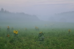 2022-07-29-Graveltour-Muenchen-Honau-012
