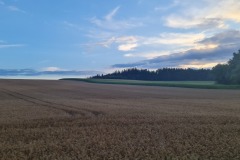 2022-07-29-Graveltour-Muenchen-Honau-016