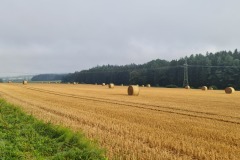 2022-07-29-Graveltour-Muenchen-Honau-029