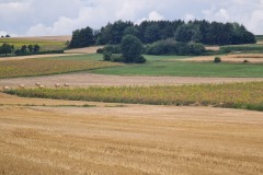 2022-07-29-Graveltour-Muenchen-Honau-061