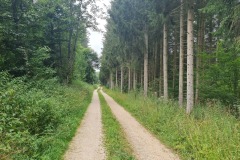 2022-07-29-Graveltour-Muenchen-Honau-089