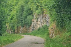 2022-07-29-Graveltour-Muenchen-Honau-113