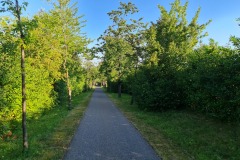 2022-07-30-Graveltour-Honau-Kaiserstuhl-009