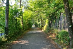 2022-07-30-Graveltour-Honau-Kaiserstuhl-012