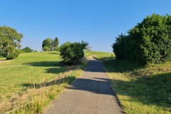 2022-07-30-Graveltour-Honau-Kaiserstuhl-013