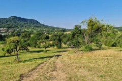 2022-07-30-Graveltour-Honau-Kaiserstuhl-015