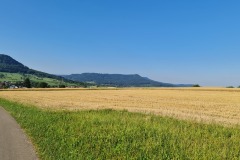 2022-07-30-Graveltour-Honau-Kaiserstuhl-016