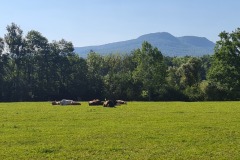 2022-07-30-Graveltour-Honau-Kaiserstuhl-020