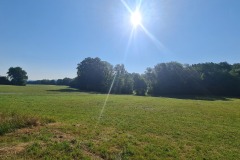 2022-07-30-Graveltour-Honau-Kaiserstuhl-021