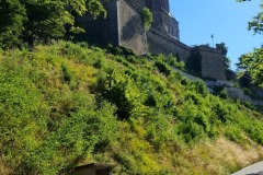 2022-07-30-Graveltour-Honau-Kaiserstuhl-029