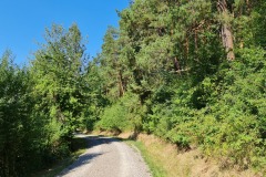 2022-07-30-Graveltour-Honau-Kaiserstuhl-041