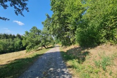 2022-07-30-Graveltour-Honau-Kaiserstuhl-044