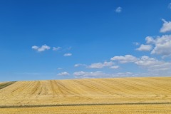 2022-07-30-Graveltour-Honau-Kaiserstuhl-045