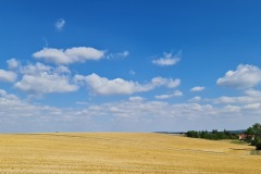 2022-07-30-Graveltour-Honau-Kaiserstuhl-046