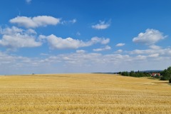 2022-07-30-Graveltour-Honau-Kaiserstuhl-047