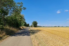 2022-07-30-Graveltour-Honau-Kaiserstuhl-048