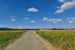 2022-07-30-Graveltour-Honau-Kaiserstuhl-051