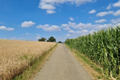 2022-07-30-Graveltour-Honau-Kaiserstuhl-054