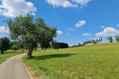 2022-07-30-Graveltour-Honau-Kaiserstuhl-058