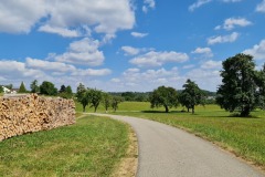 2022-07-30-Graveltour-Honau-Kaiserstuhl-059