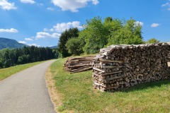 2022-07-30-Graveltour-Honau-Kaiserstuhl-060