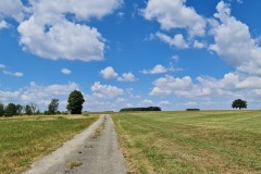 2022-07-30-Graveltour-Honau-Kaiserstuhl-062