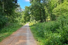 2022-07-30-Graveltour-Honau-Kaiserstuhl-063