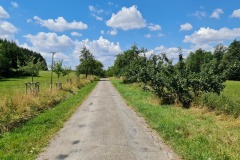 2022-07-30-Graveltour-Honau-Kaiserstuhl-064