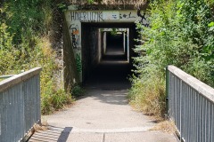 2022-07-30-Graveltour-Honau-Kaiserstuhl-073