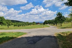 2022-07-30-Graveltour-Honau-Kaiserstuhl-077