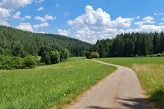 2022-07-30-Graveltour-Honau-Kaiserstuhl-081