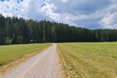 2022-07-30-Graveltour-Honau-Kaiserstuhl-083