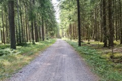 2022-07-30-Graveltour-Honau-Kaiserstuhl-084