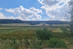 2022-07-30-Graveltour-Honau-Kaiserstuhl-088