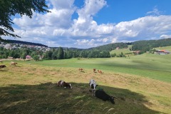2022-07-30-Graveltour-Honau-Kaiserstuhl-093