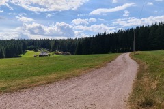 2022-07-30-Graveltour-Honau-Kaiserstuhl-096