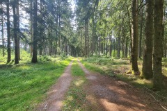 2022-07-30-Graveltour-Honau-Kaiserstuhl-097