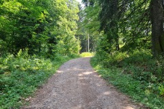 2022-07-30-Graveltour-Honau-Kaiserstuhl-100