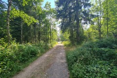 2022-07-30-Graveltour-Honau-Kaiserstuhl-102