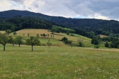 2022-07-30-Graveltour-Honau-Kaiserstuhl-113