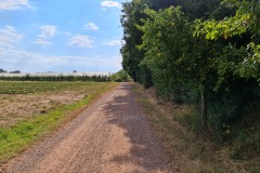 2022-07-30-Graveltour-Honau-Kaiserstuhl-118