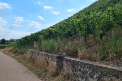 2022-07-30-Graveltour-Honau-Kaiserstuhl-120