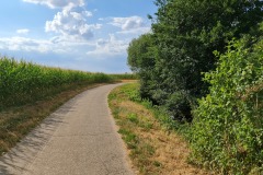 2022-07-30-Graveltour-Honau-Kaiserstuhl-123