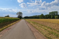 2022-07-30-Graveltour-Honau-Kaiserstuhl-124