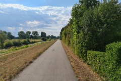 2022-07-30-Graveltour-Honau-Kaiserstuhl-125