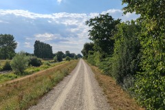 2022-07-30-Graveltour-Honau-Kaiserstuhl-126