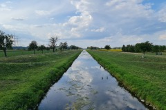 2022-07-30-Graveltour-Honau-Kaiserstuhl-131