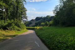 2022-07-30-Graveltour-Honau-Kaiserstuhl-139