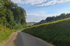 2022-07-30-Graveltour-Honau-Kaiserstuhl-140