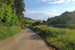 2022-07-30-Graveltour-Honau-Kaiserstuhl-142